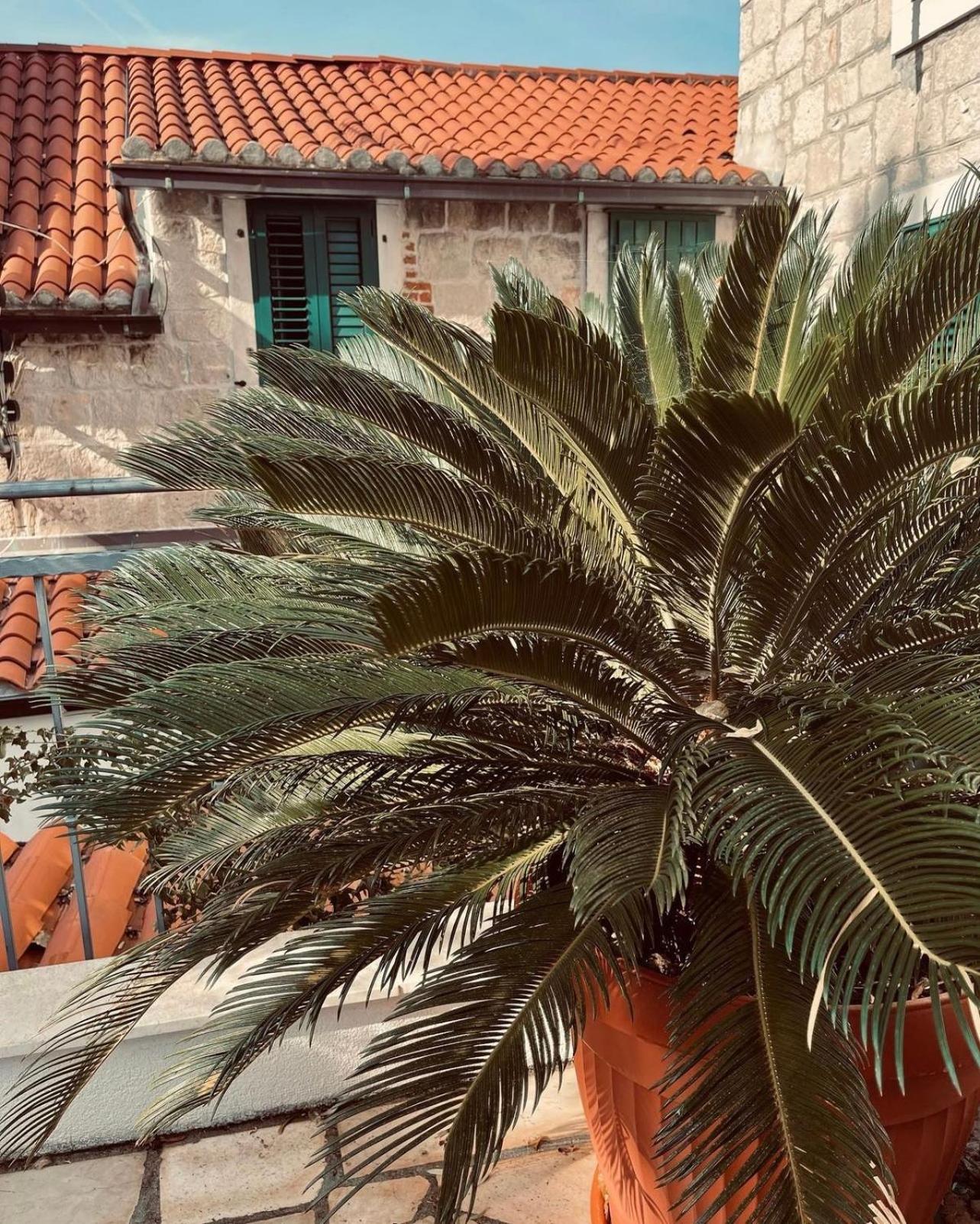 Villa Saint Lucas Сплит Экстерьер фото
